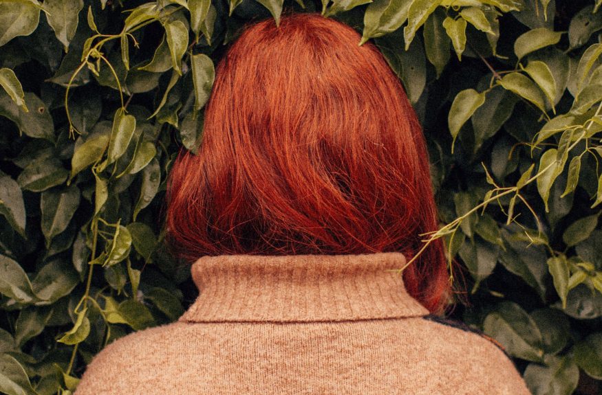hide-bushes hide-bushes
